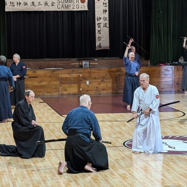 Teaching NASSK Camp 2025